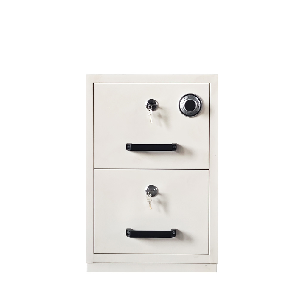 2 Drawer Vertical Office File  - File Cabinet Drawer 리뷰 및 가격
